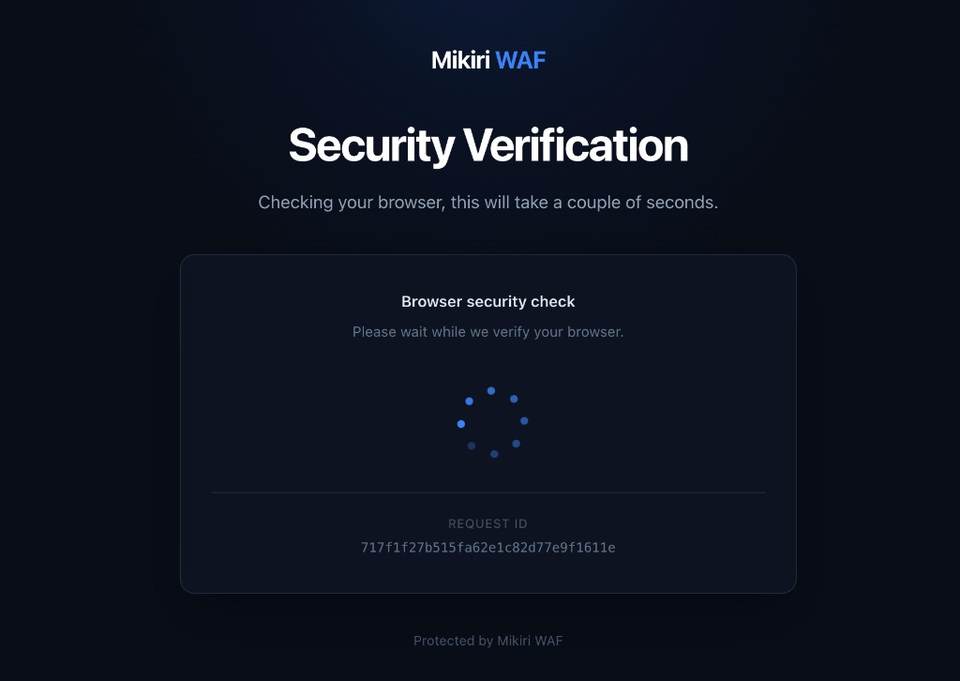 Security verification